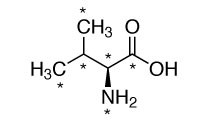 CNLM-442-H  L-纈氨酸(13C5,99%;15N,99%)